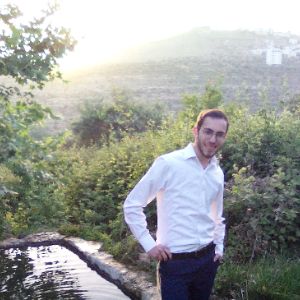 דוד וינגרטן